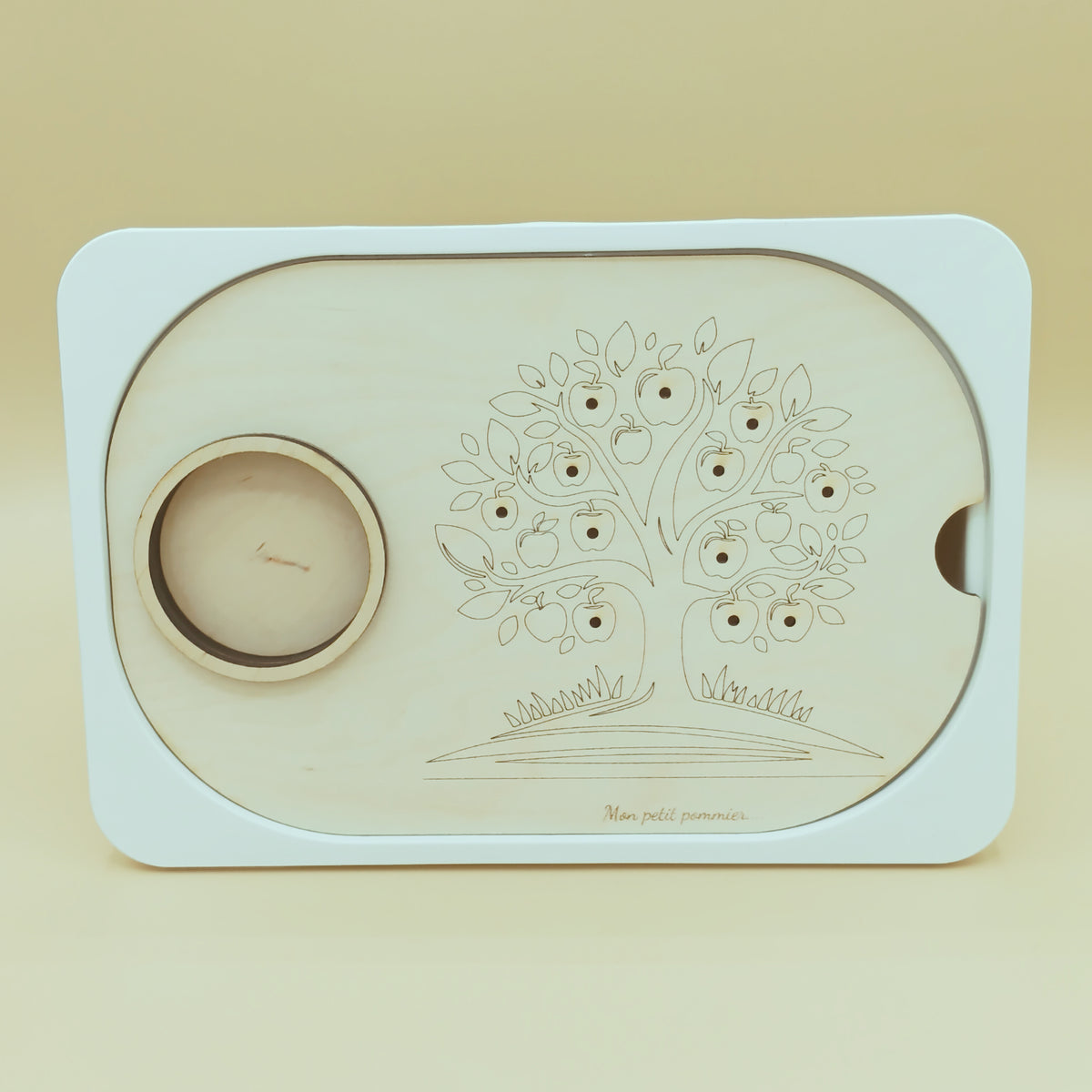 Utilisation de l’Insert Trofast apprentissage Pommier dans un cadre pédagogique.