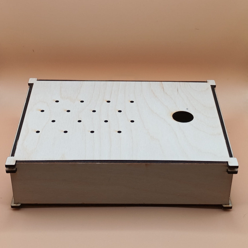 Activité de motricité fine avec la Task Box Picots – outil éducatif fait main.